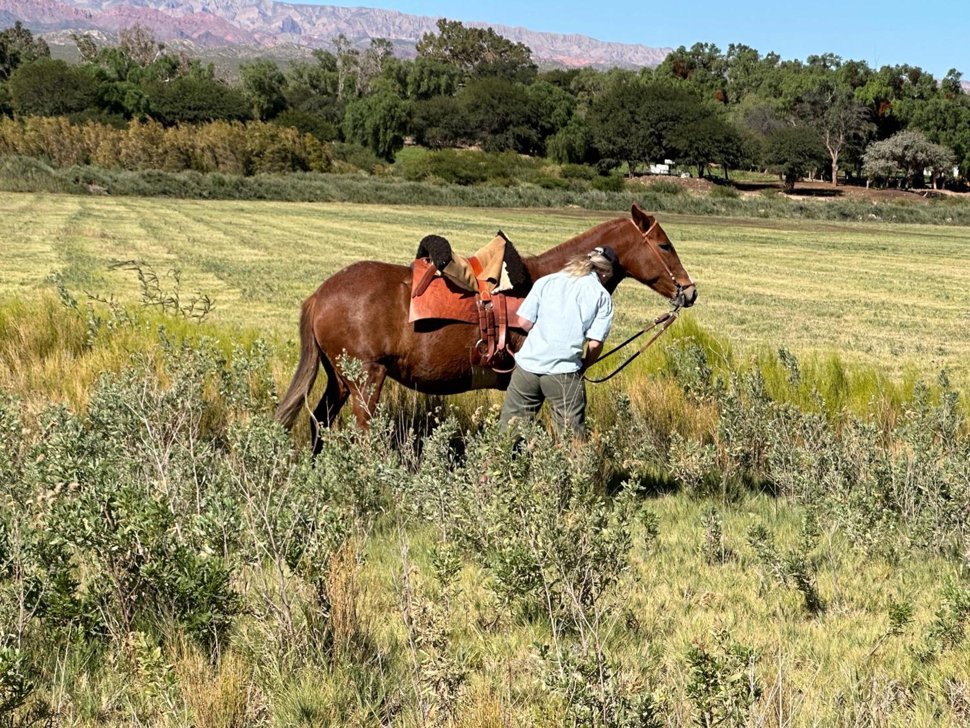 Estancia Banda Grande - Horse & Hiking Safaris Molinos Eksteriør bilde